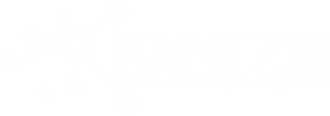Digital Marketing Agency in Japan IGNITE