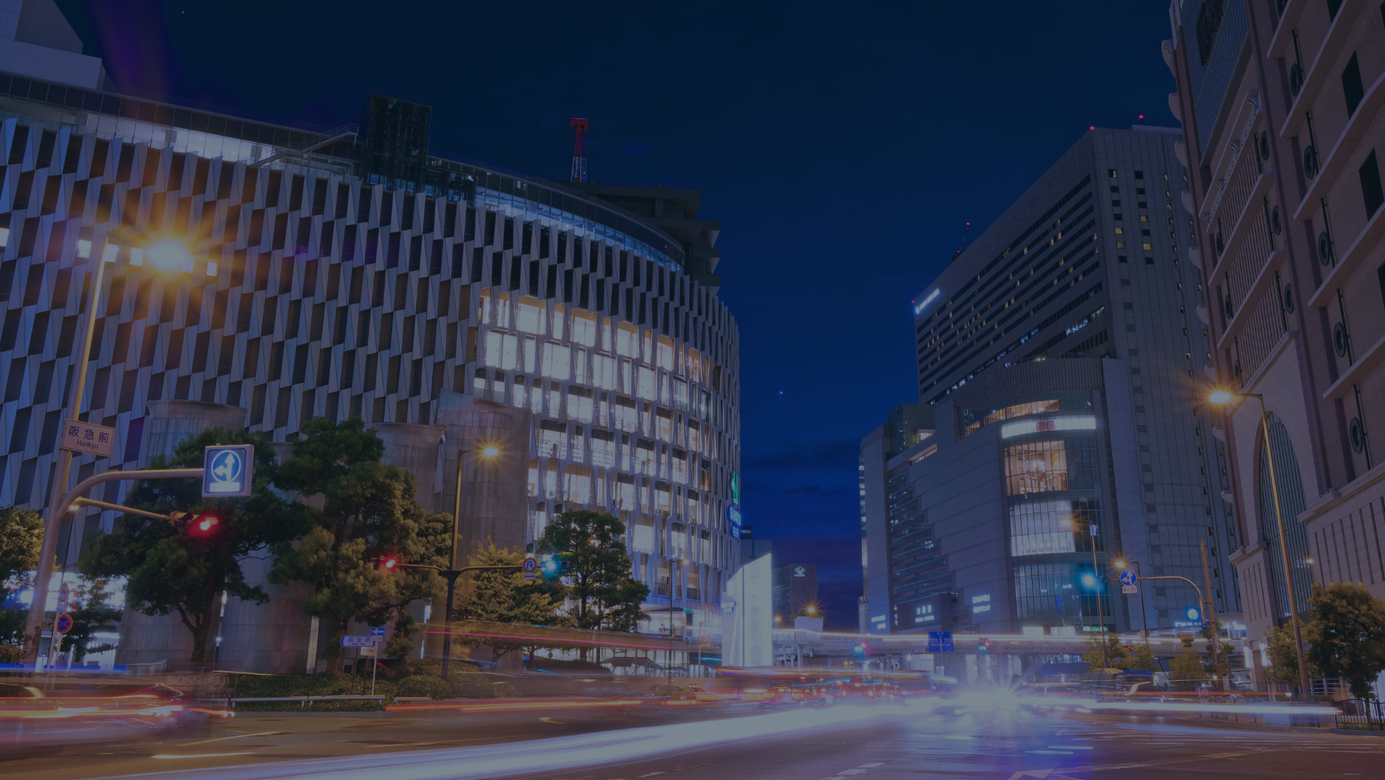 Business development services for companies in Japan