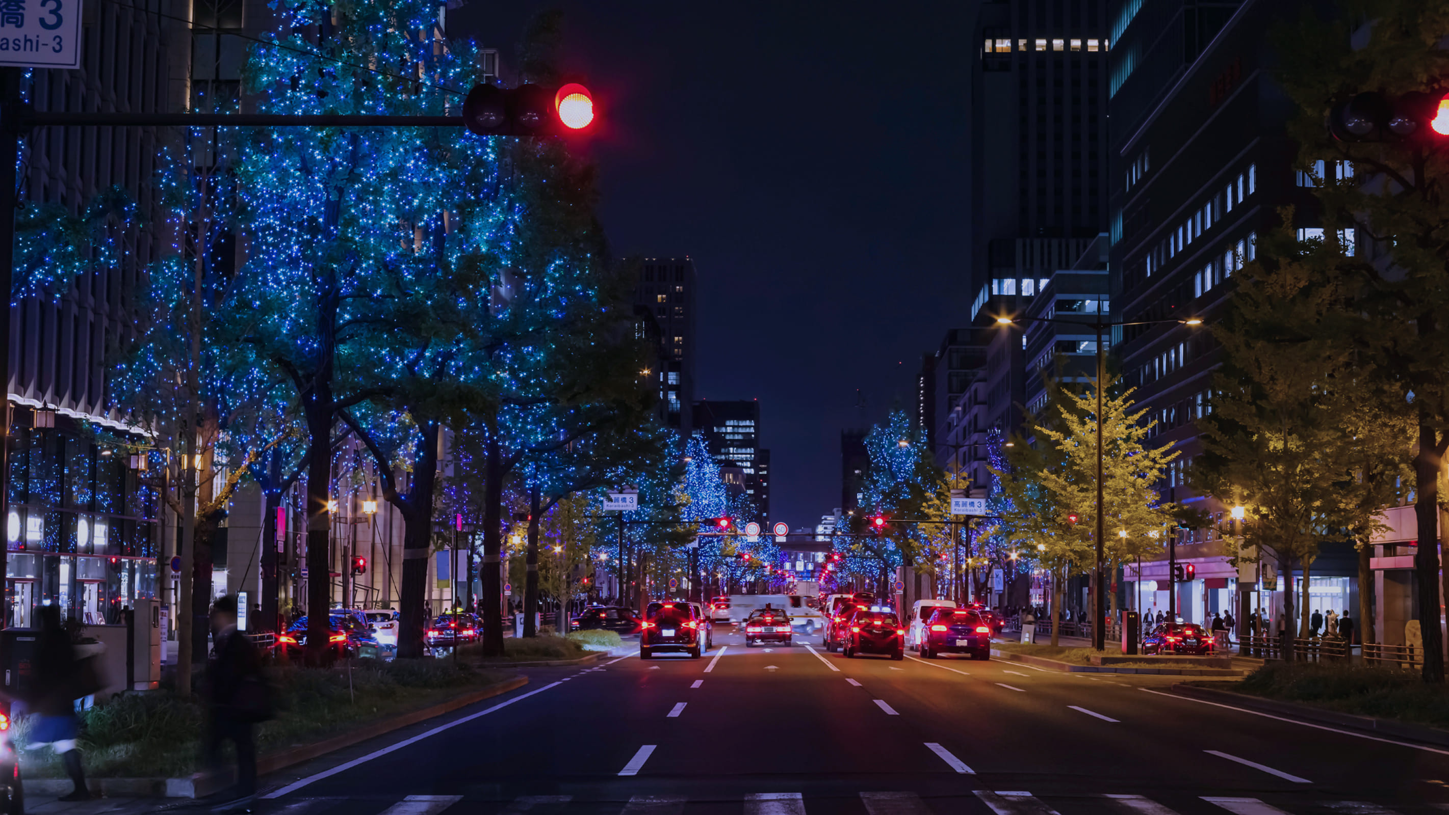 Digital marketing strategy for businesses in Japan