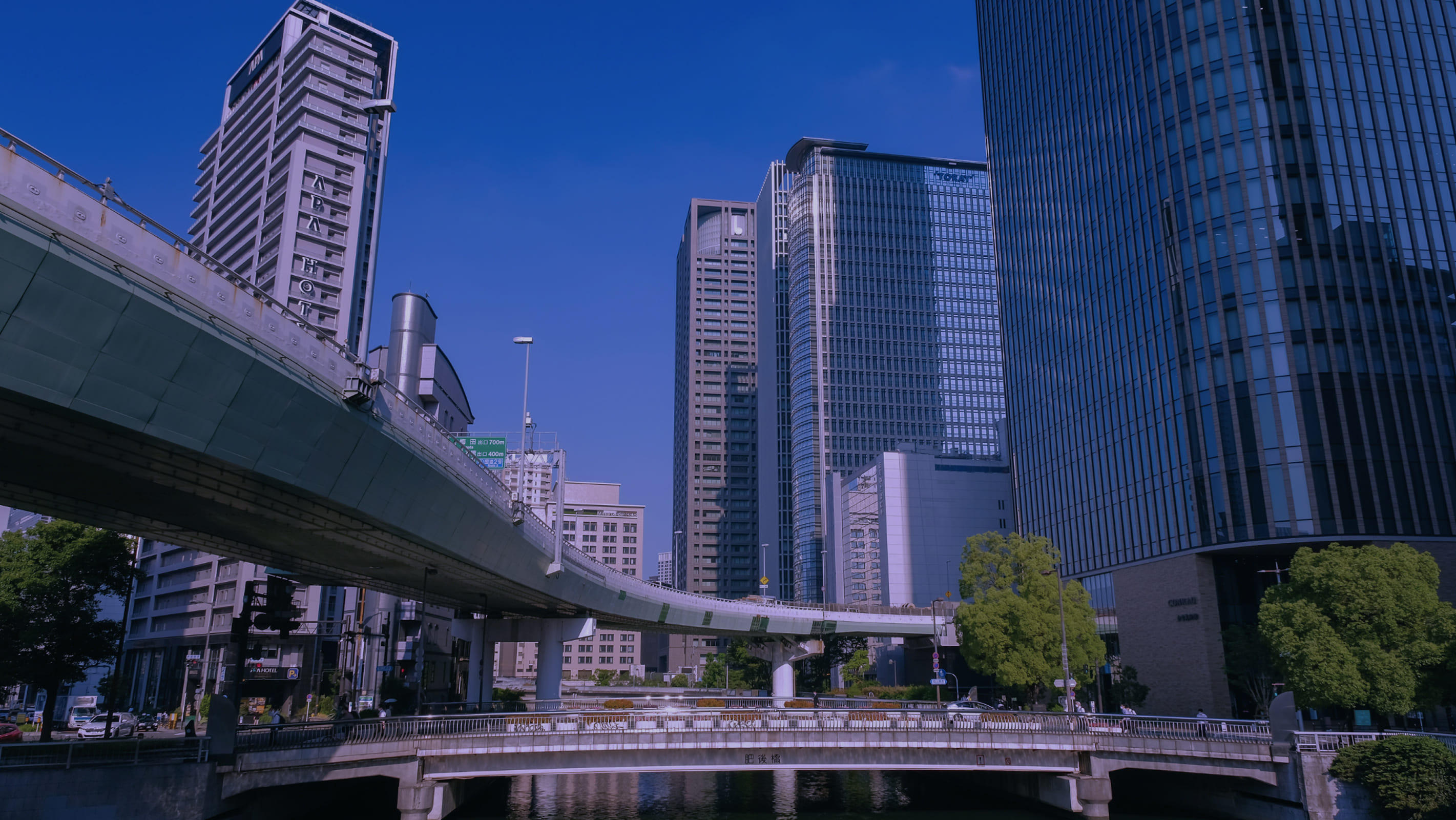 Market research services for businesses in Japan