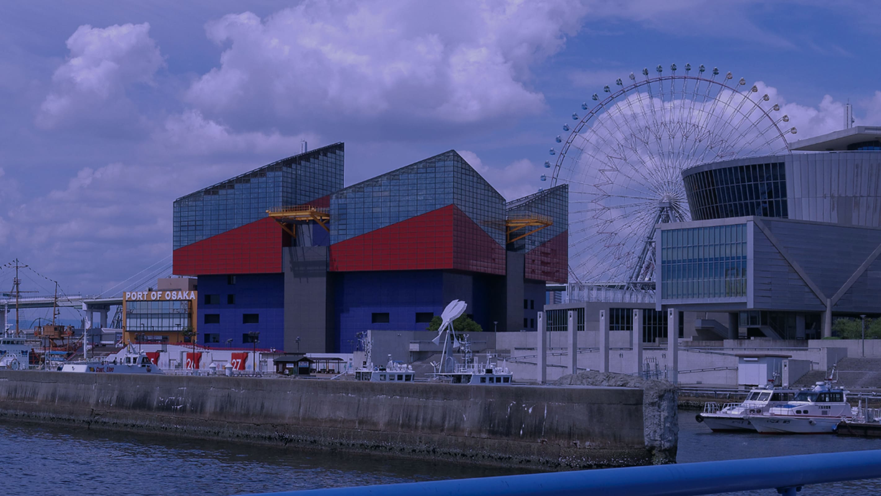 SEM Marketing strategy for businesses in Japan