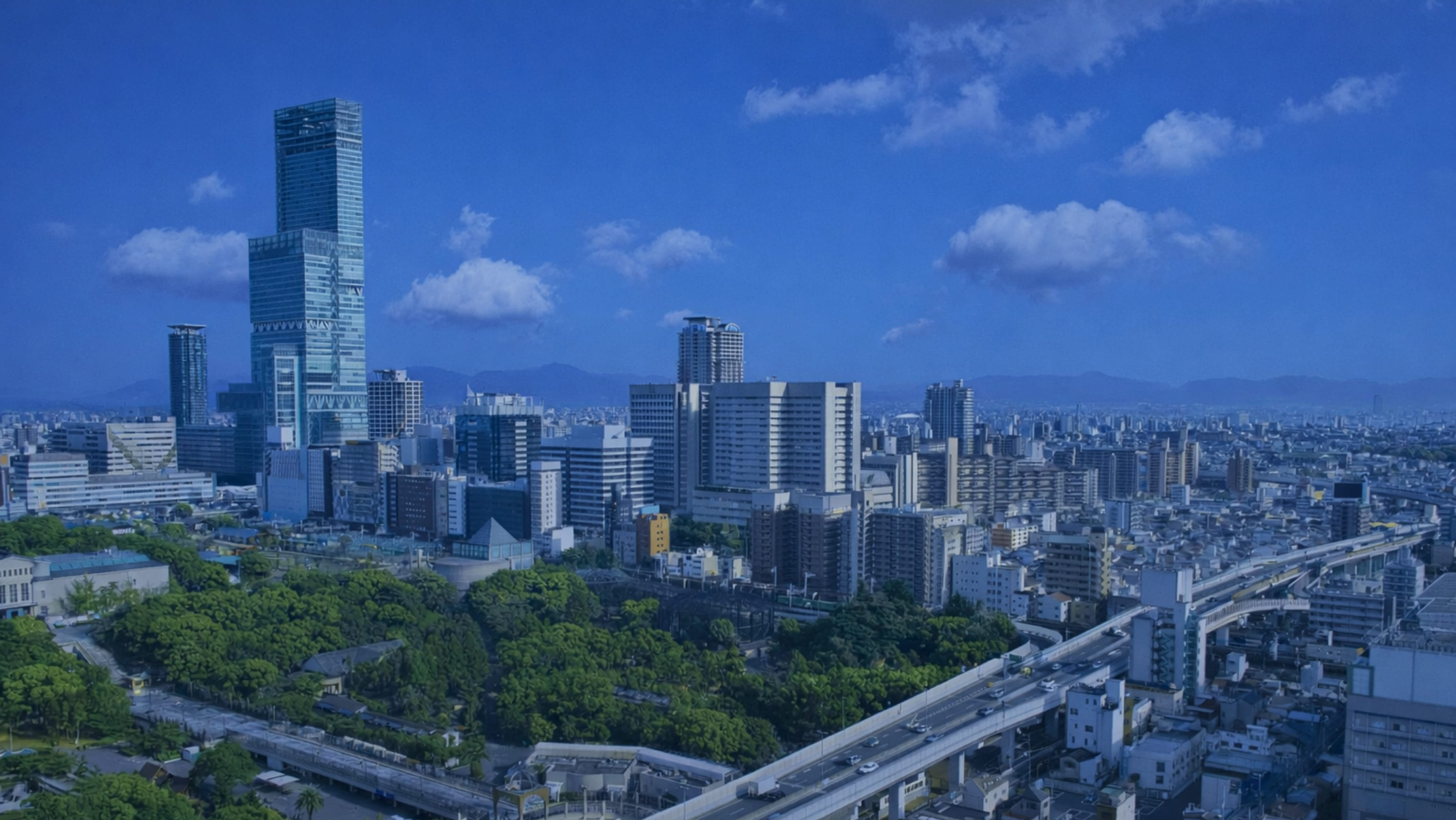 SEO Marketing strategy for businesses in Japan