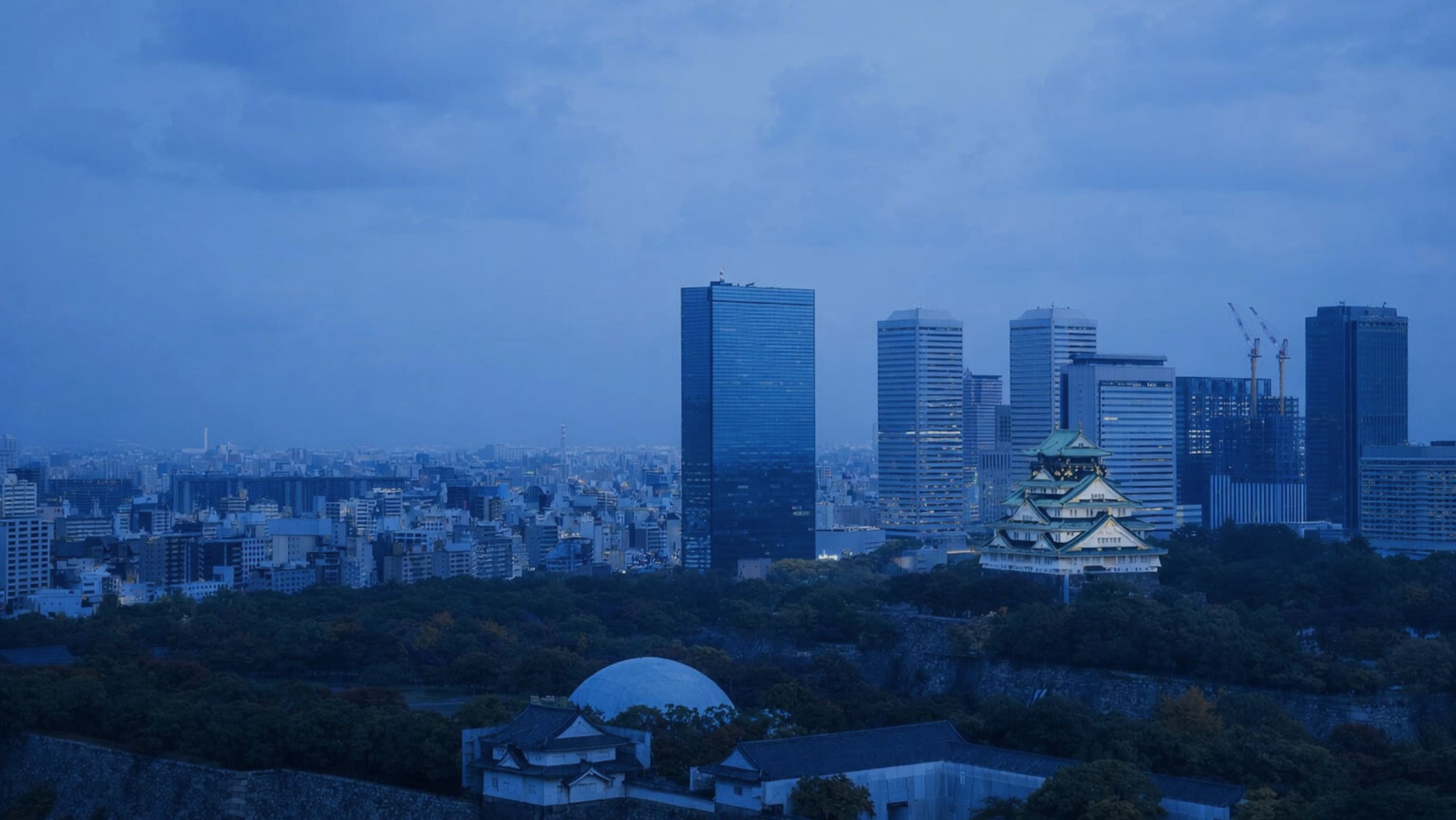Website design and UIUX services for businesses in Japan